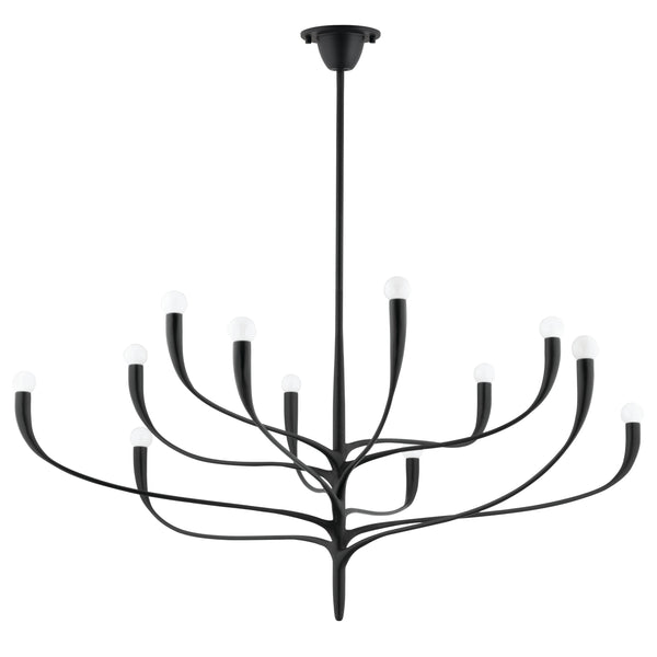 Lighting - Chandelier Labra 12 Light Chandelier // Aged Iron 