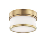 Lighting - Flush Mount Gemma Led Flush Mount // Aged Brass 