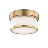 Lighting - Flush Mount Gemma Led Flush Mount // Aged Brass 