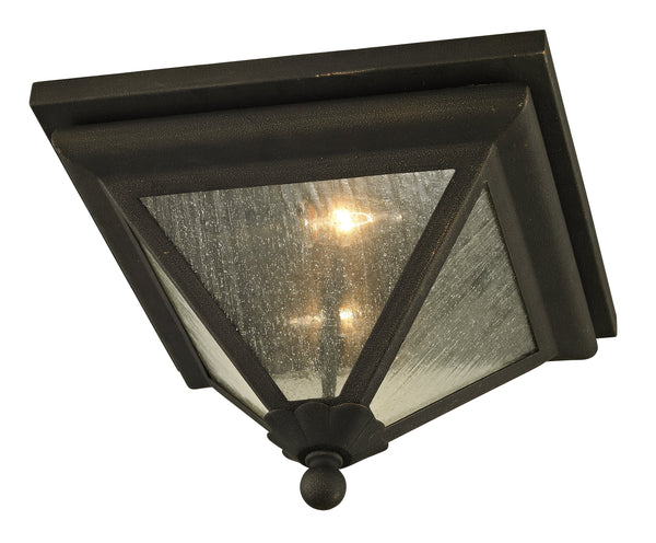 Lighting - Flush Mount Geneva 2 Light Flush // Vintage Bronze 