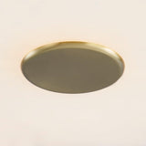 Lighting - Flush Mount Highland Falls 1 Light Flush Mount // Aged Brass 