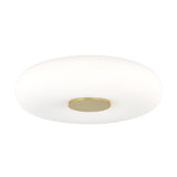 Lighting - Flush Mount Imani 1 Light Flush Mount // Aged Brass 