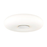 Lighting - Flush Mount Imani 1 Light Flush Mount // Polished Nickel 