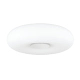 Lighting - Flush Mount Imani 1 Light Flush Mount // Polished Nickel 