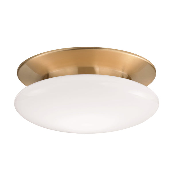 Lighting - Flush Mount Irvington Led Flush Mount // Satin Brass // Medium 