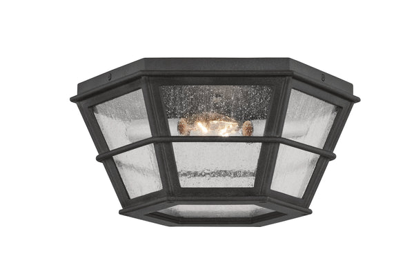 Lighting - Flush Mount Lake County 2 Light Flush Mount // French Iron 