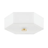 Lighting - Flush Mount Lizzie 2 Light Flush Mount // Aged Brass & Polished Nickel Combo 