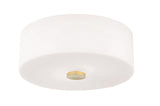 Lighting - Flush Mount Sophie 2 Light Flush Mount // Aged Brass 