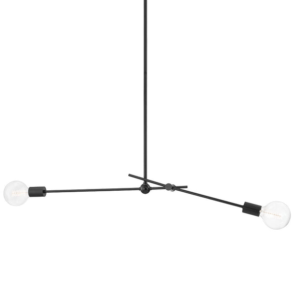 Lighting - Pendant Gale 2 Light Pendant // Soft Black 