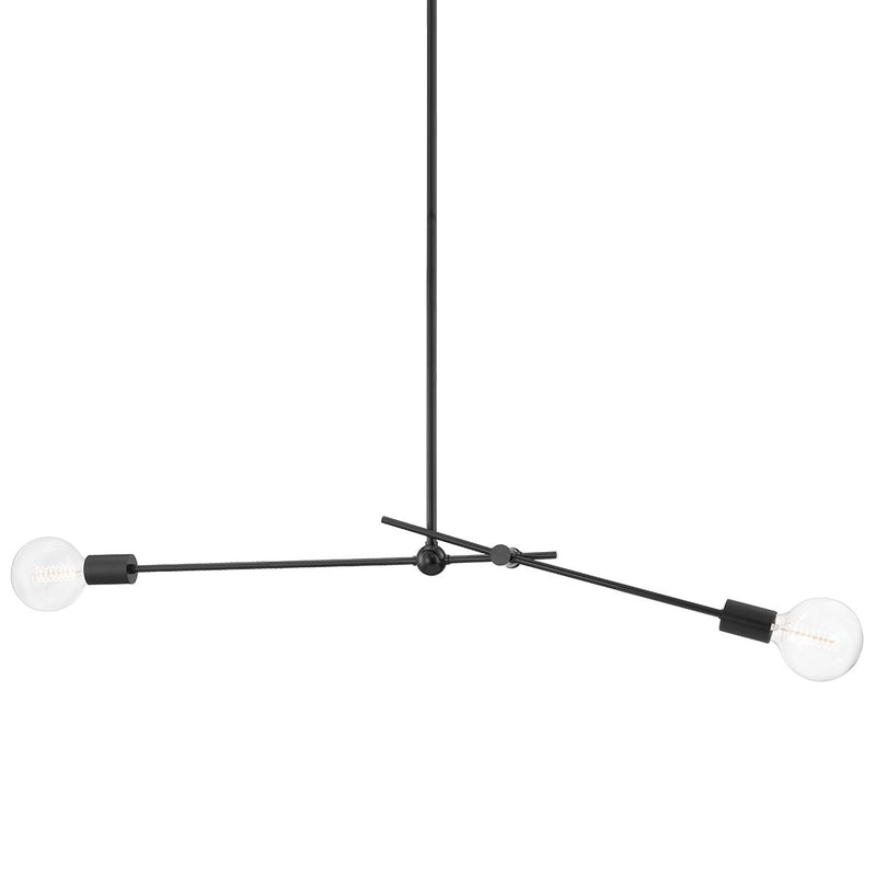 Lighting - Pendant Gale 2 Light Pendant // Soft Black 