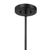  Holgate Single Light Pendant // Matte Black 