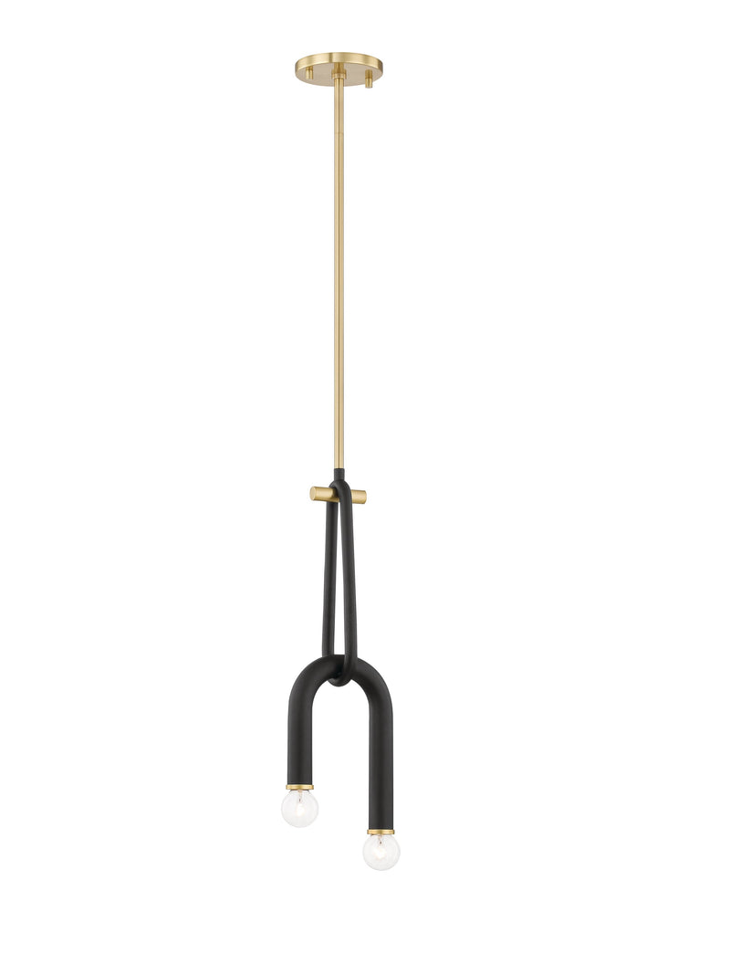 Lighting - Pendant Whit 2 Light Pendant // Aged Brass & Black 