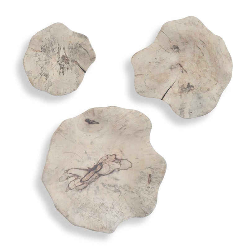 Wall Art Teo Bleached Wood Wall Decor // Set of 3 