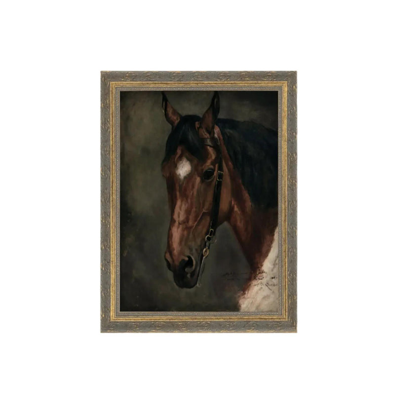 Wall Art Horse Portrait Framed Print // 8x10 