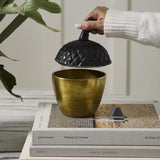 Seasonal & Holiday Decorations Acorn Stash Decorative Box 