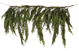 Seasonal & Holiday Decorations 40" REAL TOUCH NORFOLK PINE DRIPPING GARLAND 