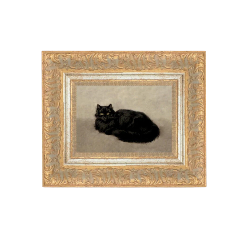 Black Cat // 9x7