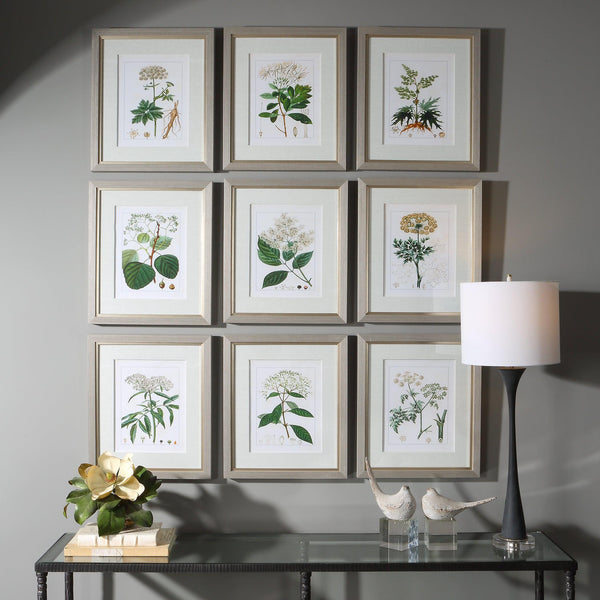 Wall Art Antique Botanicals Framed Prints, S/9 
