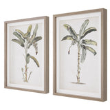 Wall Art Banana Palm Framed Prints, Set/2 