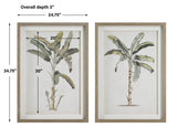 Wall Art Banana Palm Framed Prints, Set/2 