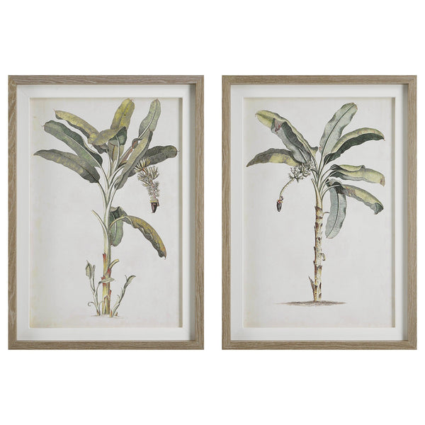 Wall Art Banana Palm Framed Prints, Set/2 