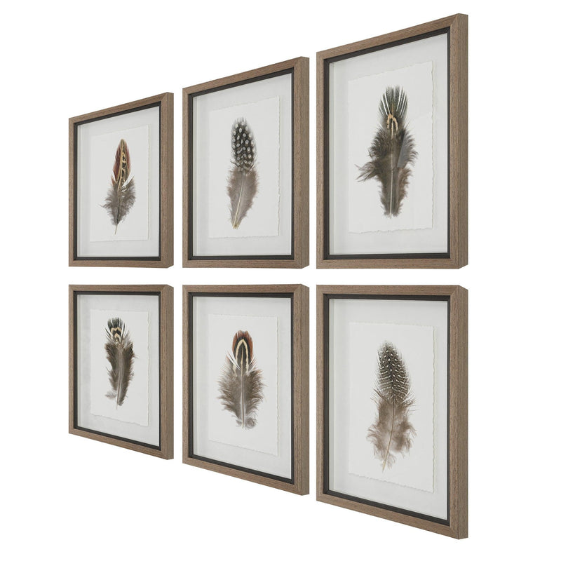 Wall Art Birds Of A Feather Framed Prints, S/6 