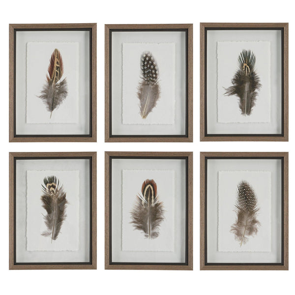 Wall Art Birds Of A Feather Framed Prints, S/6 