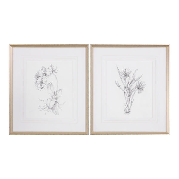 Wall Art Botanical Sketches Framed Prints S/2 