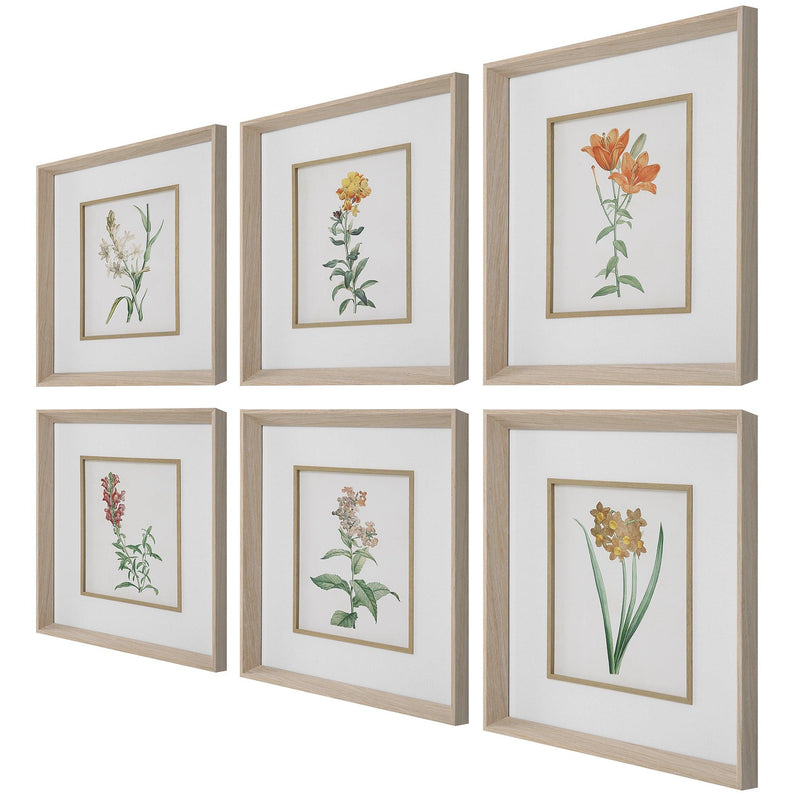 Wall Art Classic Botanicals Framed Prints Set/6 