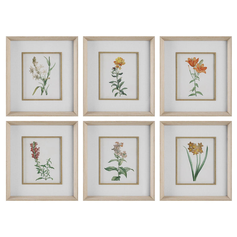 Wall Art Classic Botanicals Framed Prints Set/6 