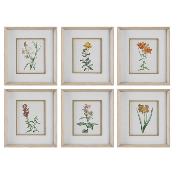 Wall Art Classic Botanicals Framed Prints Set/6 