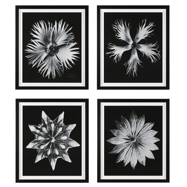 Wall Art Contemporary Floret Framed Prints, S/4 