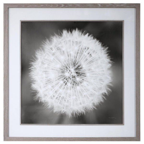 Wall Art Dandelion Seedhead Framed Print 