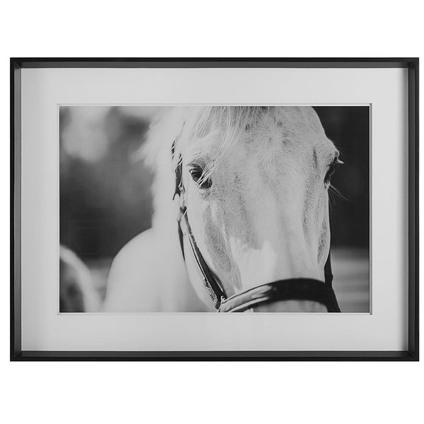 Wall Art Eyes On The Prize Framed Print 