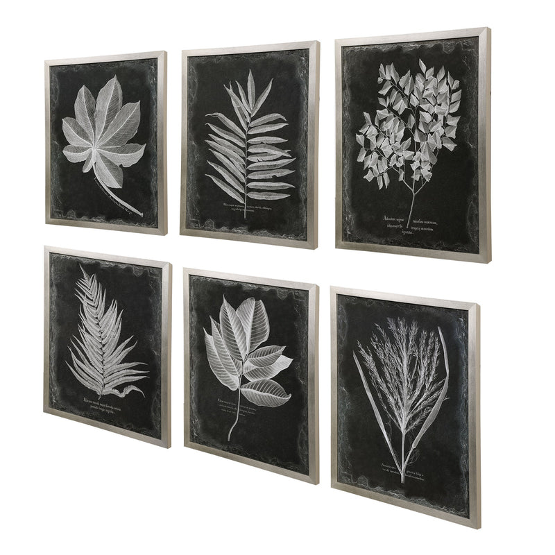 Wall Art Foliage Framed Prints, S/6 