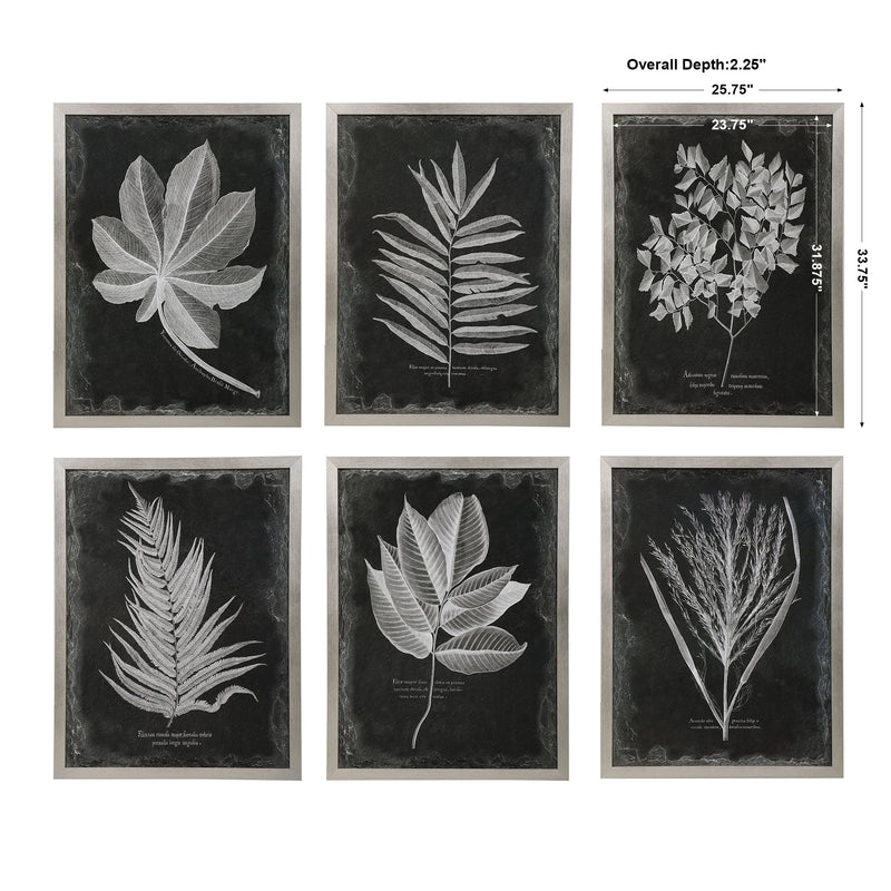 Wall Art Foliage Framed Prints, S/6 