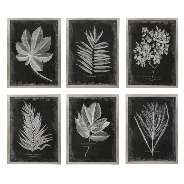 Wall Art Foliage Framed Prints, S/6 