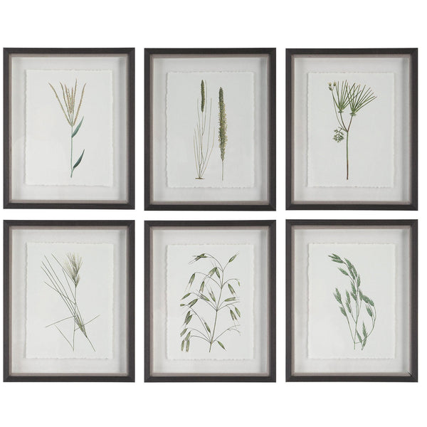 Wall Art Forest Finds Framed Prints, S/6 