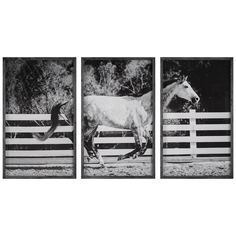 Wall Art Galloping Forward Equine Prints, Set/3 