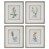 Wall Art Heirloom Blooms Study Framed Prints Set/4 