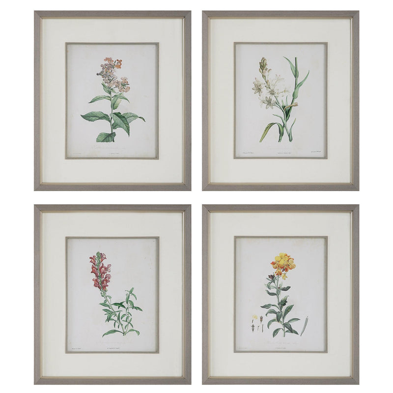 Wall Art Heirloom Blooms Study Framed Prints Set/4 