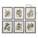 Wall Art Seedlings Framed Prints S/6 