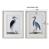 Wall Art Shore Birds Framed Prints S/2 
