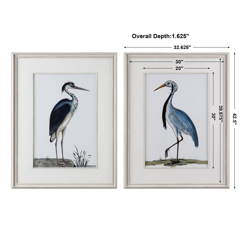 Wall Art Shore Birds Framed Prints S/2 