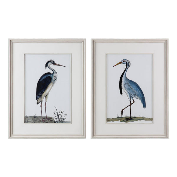 Wall Art Shore Birds Framed Prints S/2 