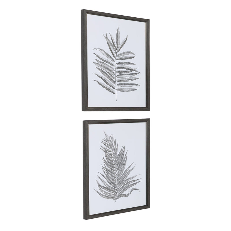 Wall Art Silver Ferns Framed Prints Set/2 