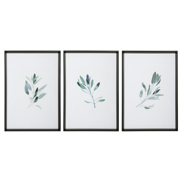 Wall Art Simple Sage Watercolor Prints, S/3 