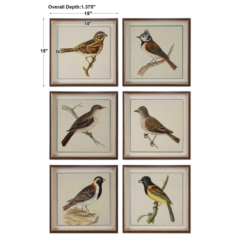 Wall Art Spring Soldiers Bird Prints, S/6 