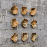 Wall Art Tamarine Wood Wall Art S/3 