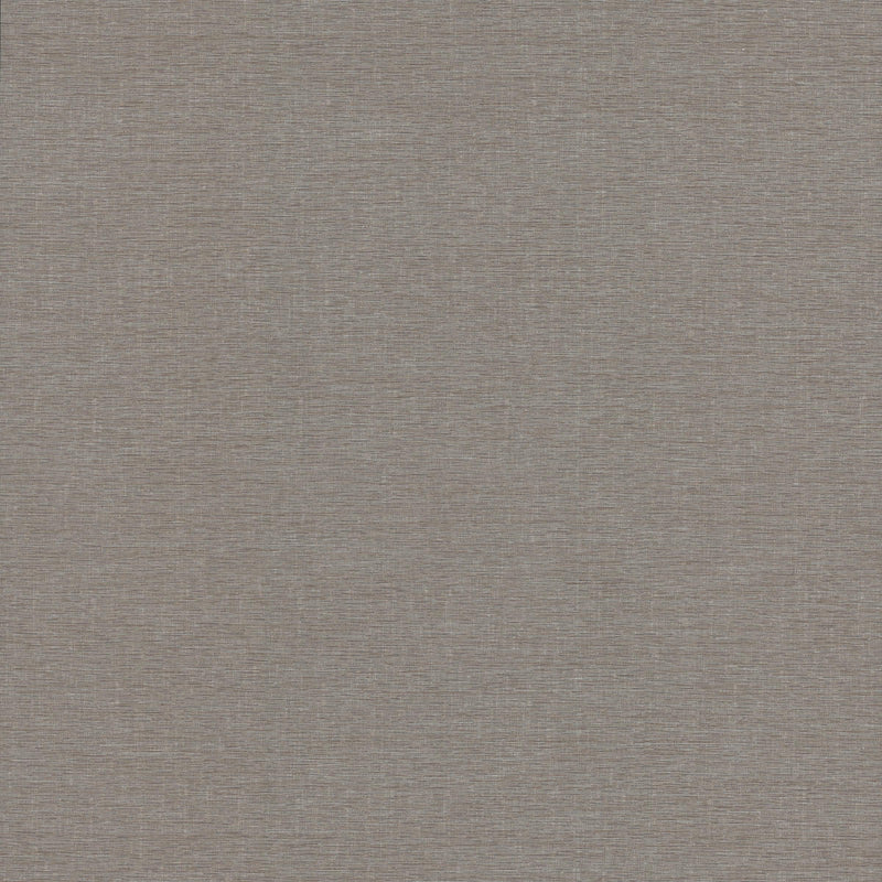 Wallpaper Altitude Wallpaper Sample // Brown 8 x 10 